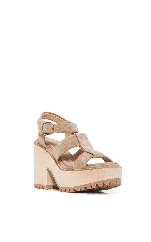 Timmymoore.shop9c1104183c 1